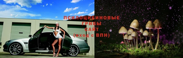 хмурый Михайловск