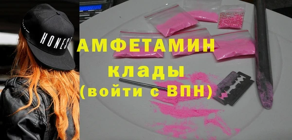 PSILOCYBIN Алзамай