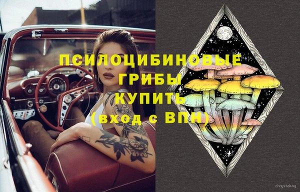 спиды Алексин