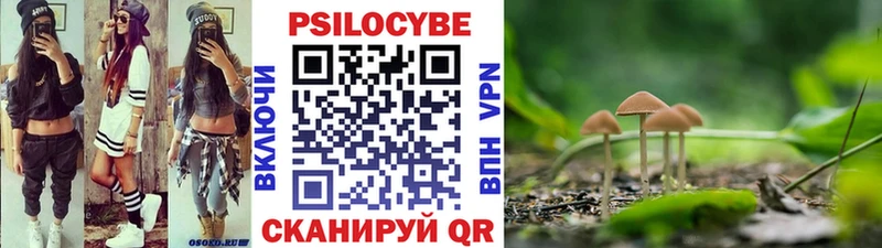 купить наркотик  Смоленск  Псилоцибиновые грибы Psilocybine cubensis 
