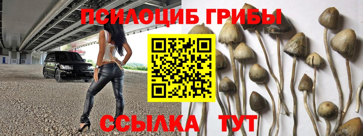 где купить наркоту  Вход с VPN  Смоленск  Псилоцибиновые грибы MAGIC MUSHROOMS 